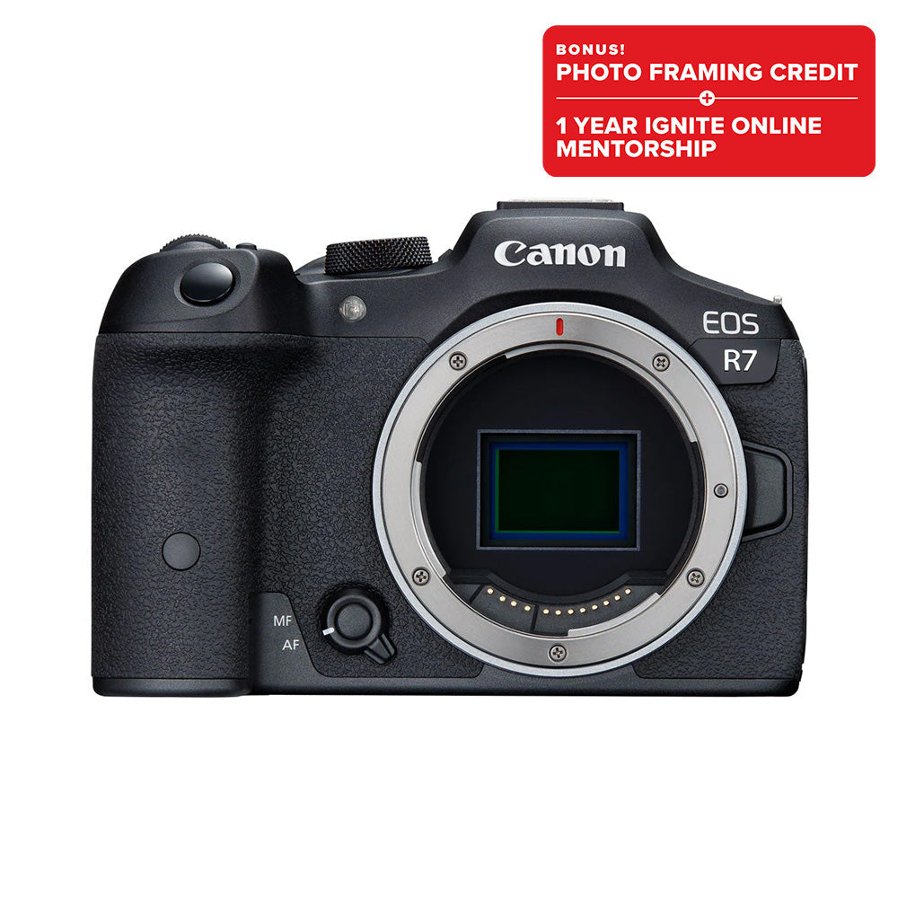 Canon EOS R（ボディ） Canon EOS R7 Body