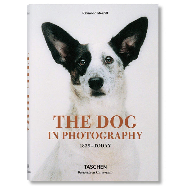 Raymond Merritt: The Dog in Photography 1839-Today