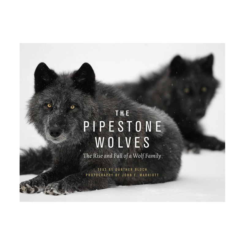 Gunther Bloch: The Pipestone Wolves, The Rise and Fall of a Wolf Family