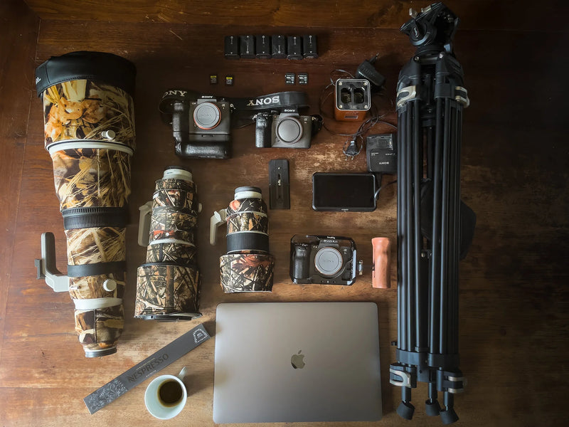 What’s In My Bag: 3 Cameras & 3 Lenses For Dramatic Wildlife Photos & Video