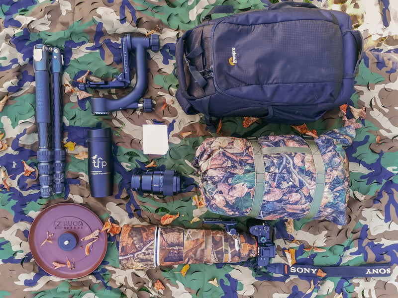 What’s In My Bag: A Fast & Silent Double Lens Kit For Photographing Wildlife