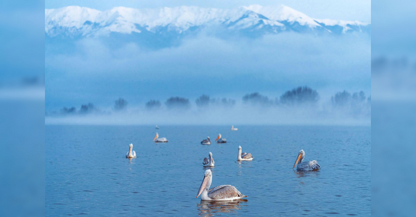 Behind The Shot: Photographing A Wildlife Alignment In Challenging Lighting Conditions