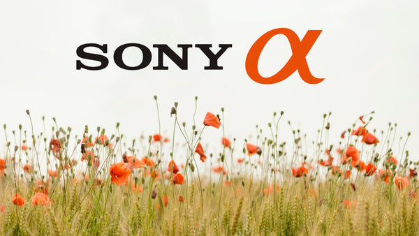 Virtual Sony Demo Days on Now!
