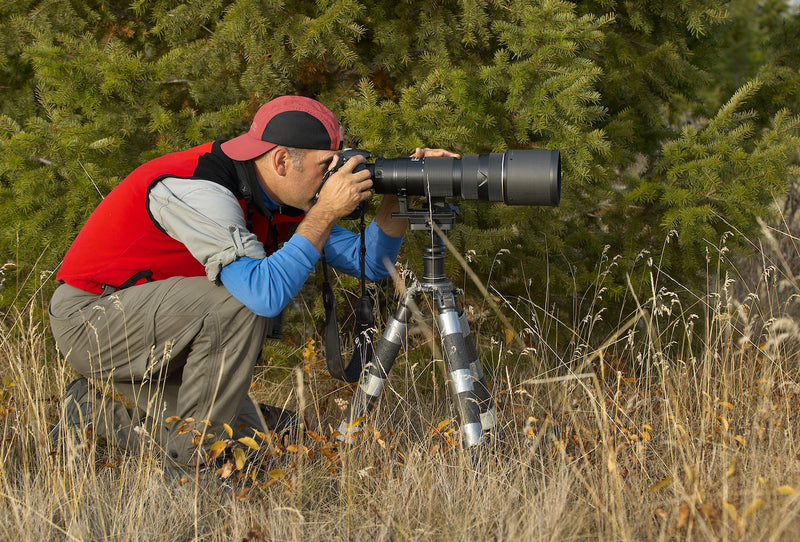 Nikon’s Long Lenses – A Rapidly Evolving Landscape