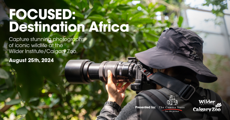 FOCUSED: Destination Africa