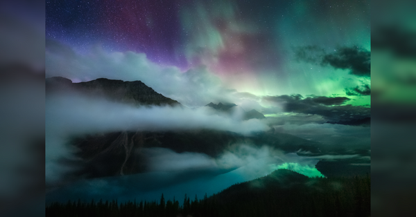 From Night to Day: The Versatility of Sony's Alpha 9 III