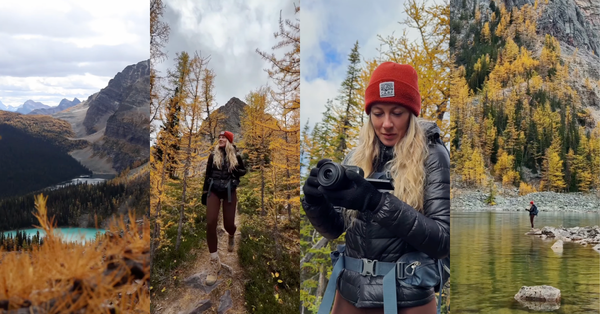Capturing Golden Larches with the Canon R50 V