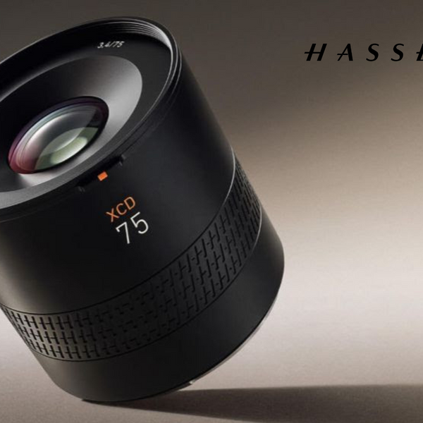 かいづかしみんさま専用 Hasselblad XCD 75P かいづかしみんさま専用 Hasselblad XCD 75P - メルカリ