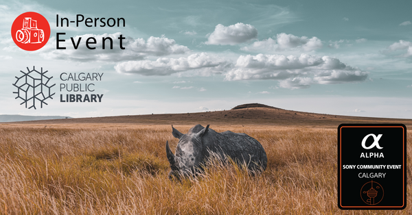 Light, Space & Time - Essays on Camera Craft and Creativity