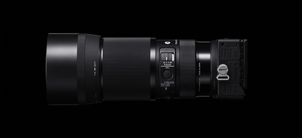 Boost Your Creativity With The Sigma 105MM F2.8 DG DN MACRO Art!