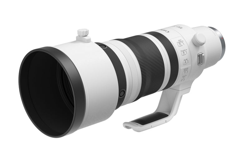 The New Canon RF 100-300mm F2.8 Super Telephoto