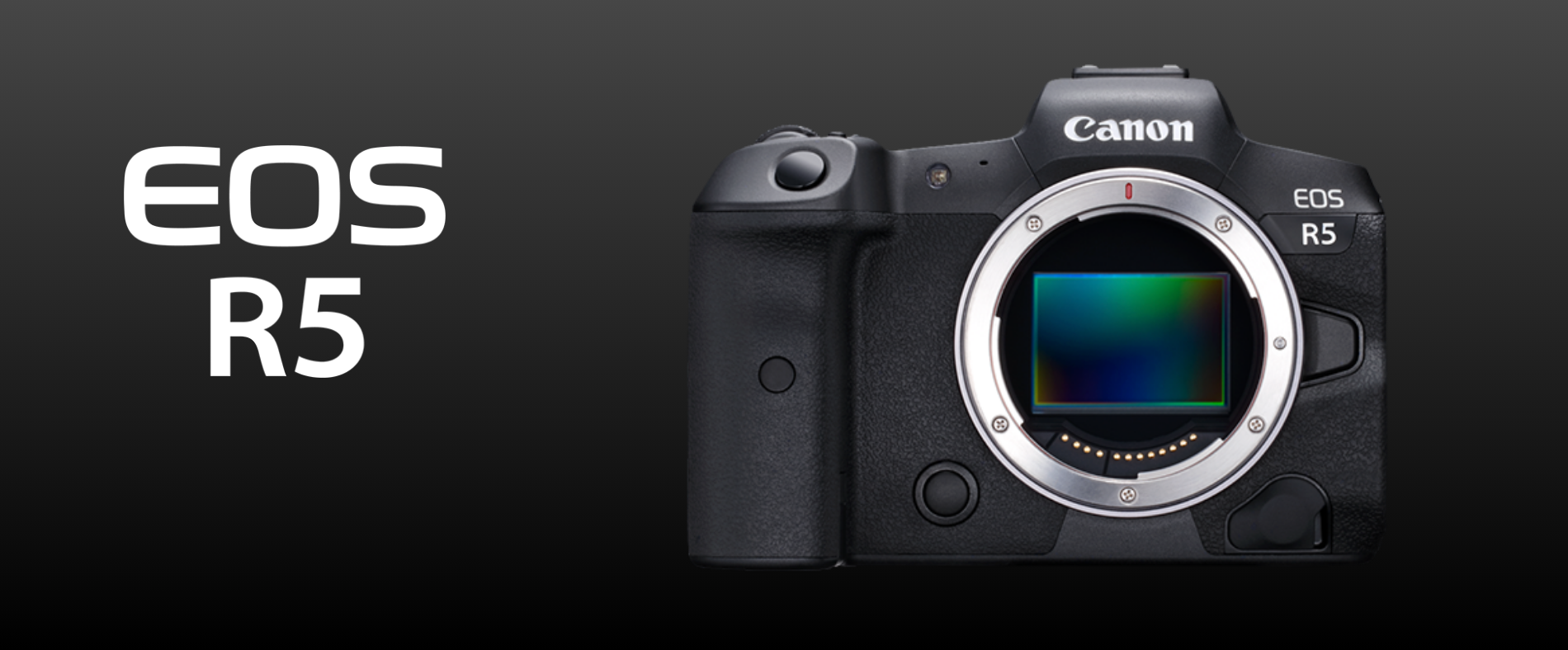 Newest Details on the Canon EOS R5!