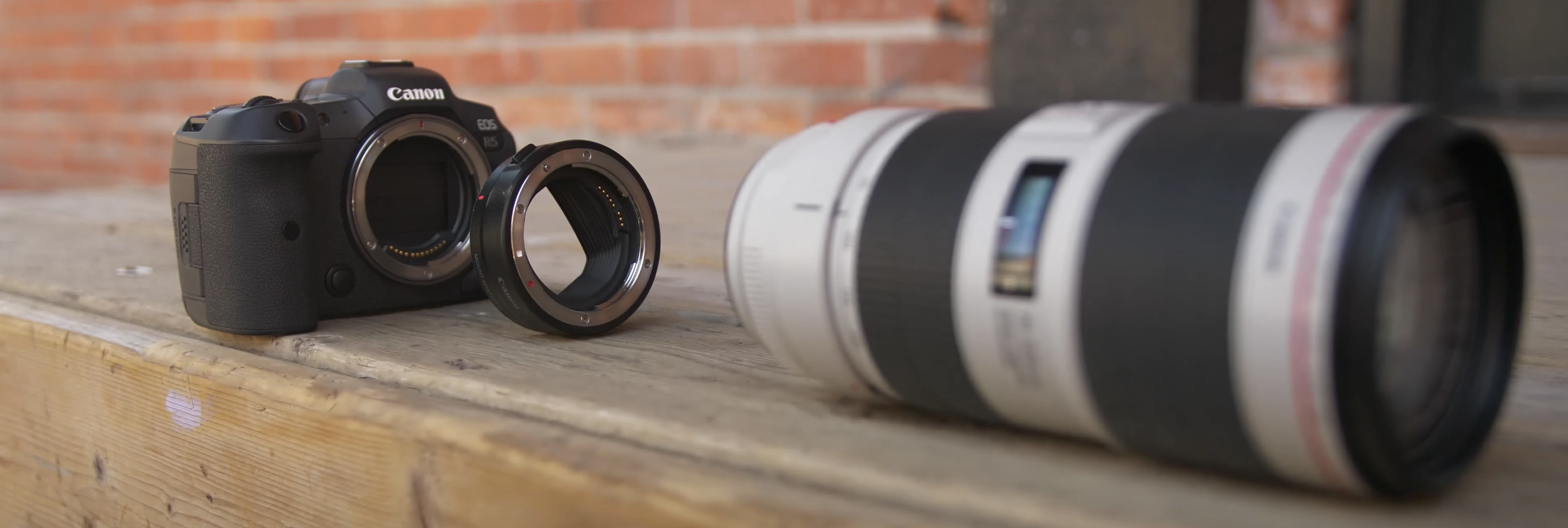 Adapting Your Canon DSLR Lenses to EOS R Cameras