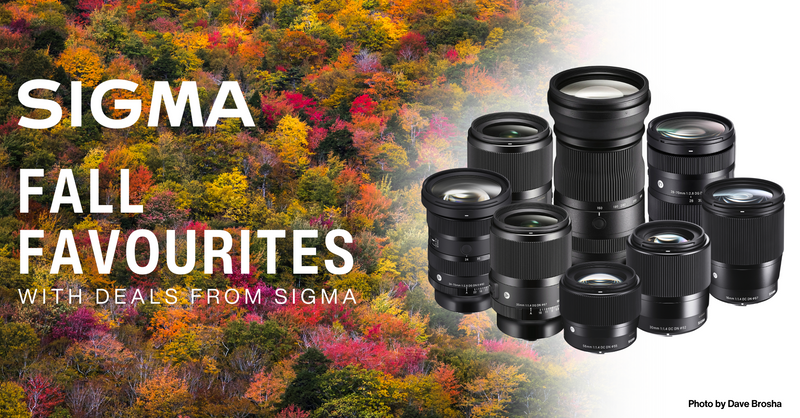 Sigma Fall Favourites