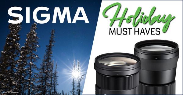 Sigma Holiday Sales