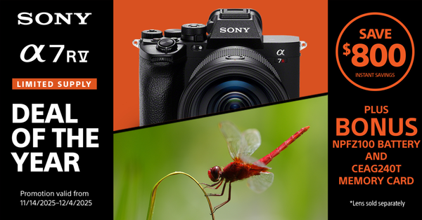 Sony Deal of the Year