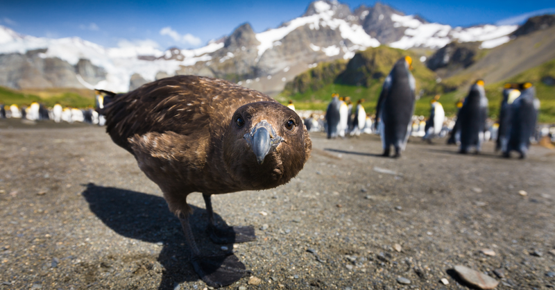 Sony Lenses - It's All About Flexibility