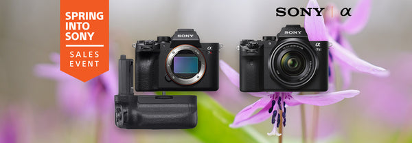 Springing Into Sony With Two Amazing Cameras!
