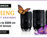 Tamron Spring Savings