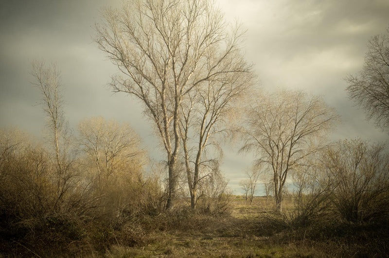 Todd Hido - Photography Collections Talk & Book Signing - Sat. Feb. 8