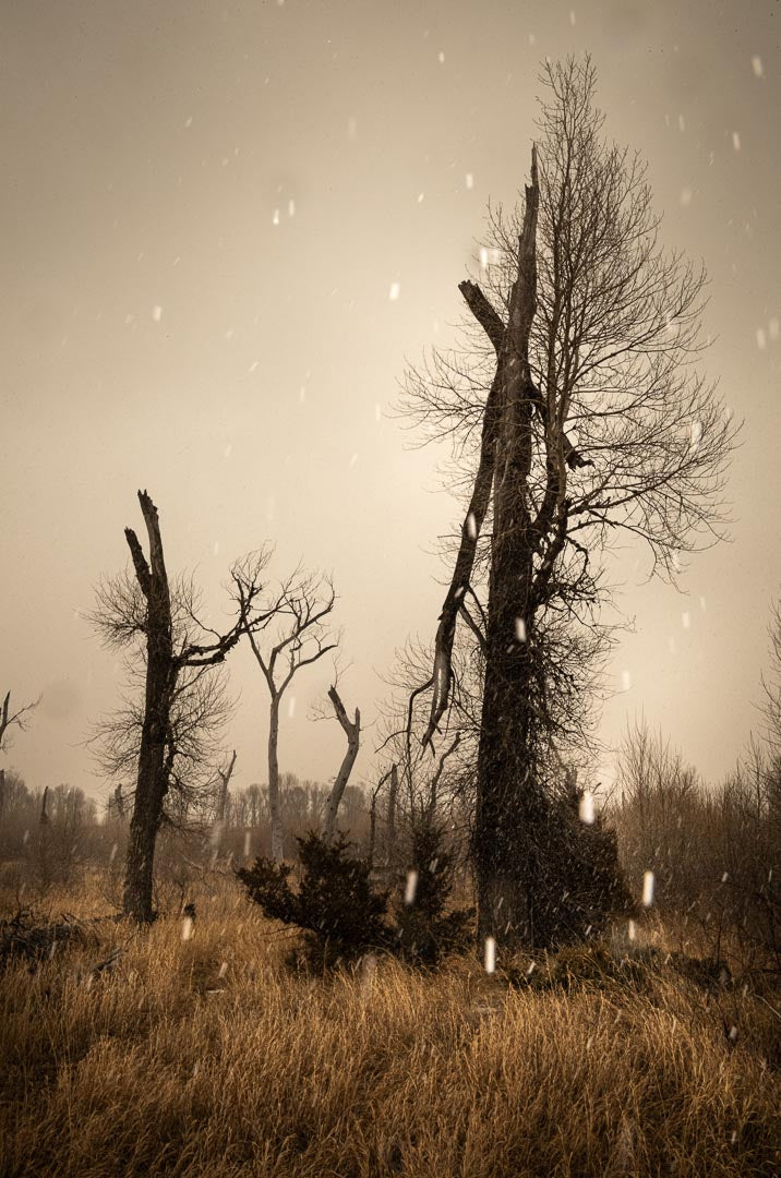 Todd Hido - Photography Collections Talk & Book Signing - Sat. Feb. 8