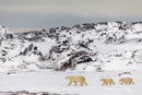 Wild Encounters - Ultimate Hands-On Zoo Photography Experience - Sun. Nov. 1