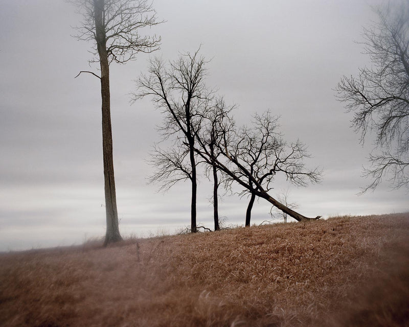 Todd Hido - Photography Collections Talk & Book Signing - Sat. Feb. 8