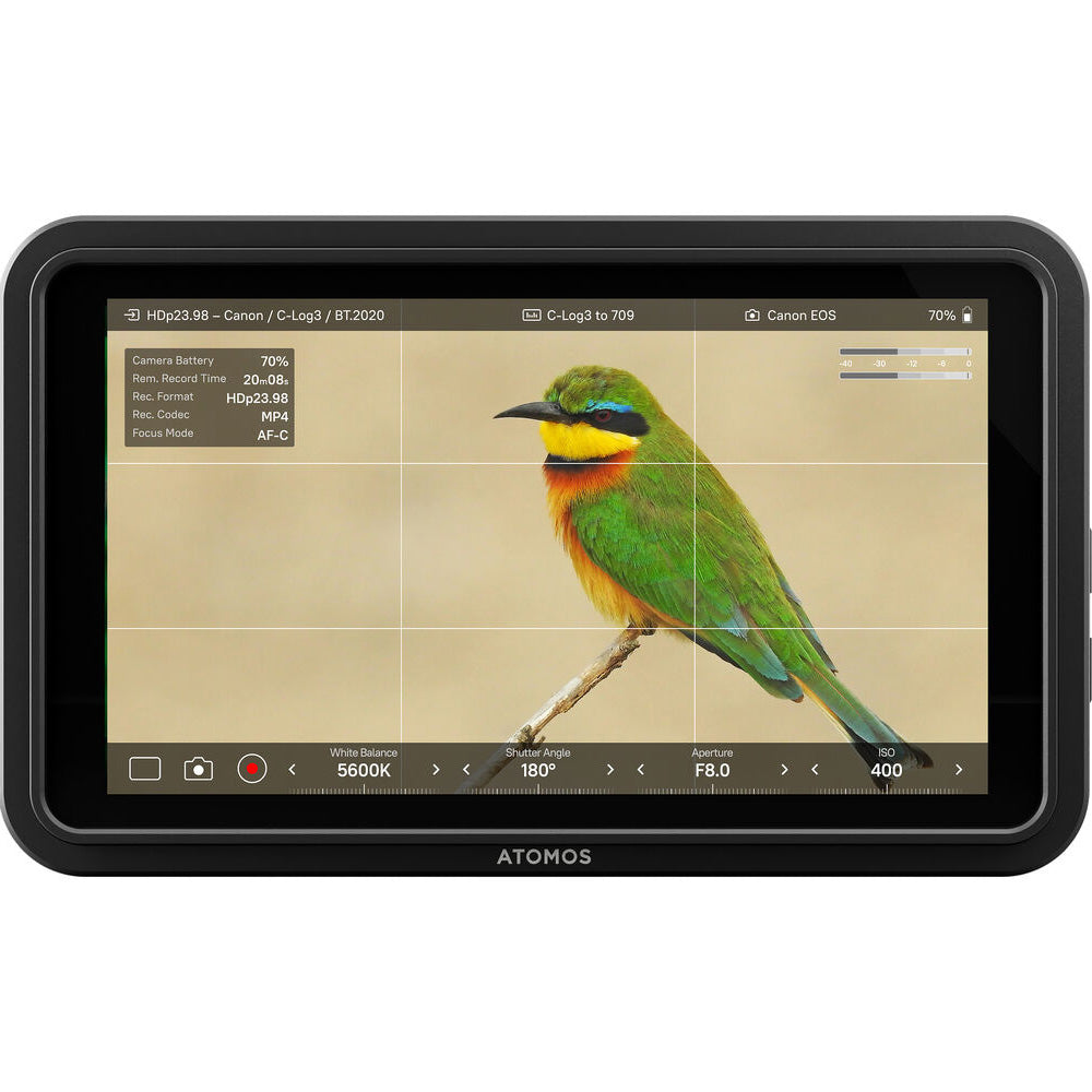Atomos Shinobi II 5