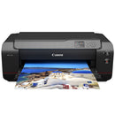 Canon imagePROGRAF PRO-1100 professional 17-inch inkjet printer producing high-quality color and black-and-white prints with advanced LUCIA PRO II ink system