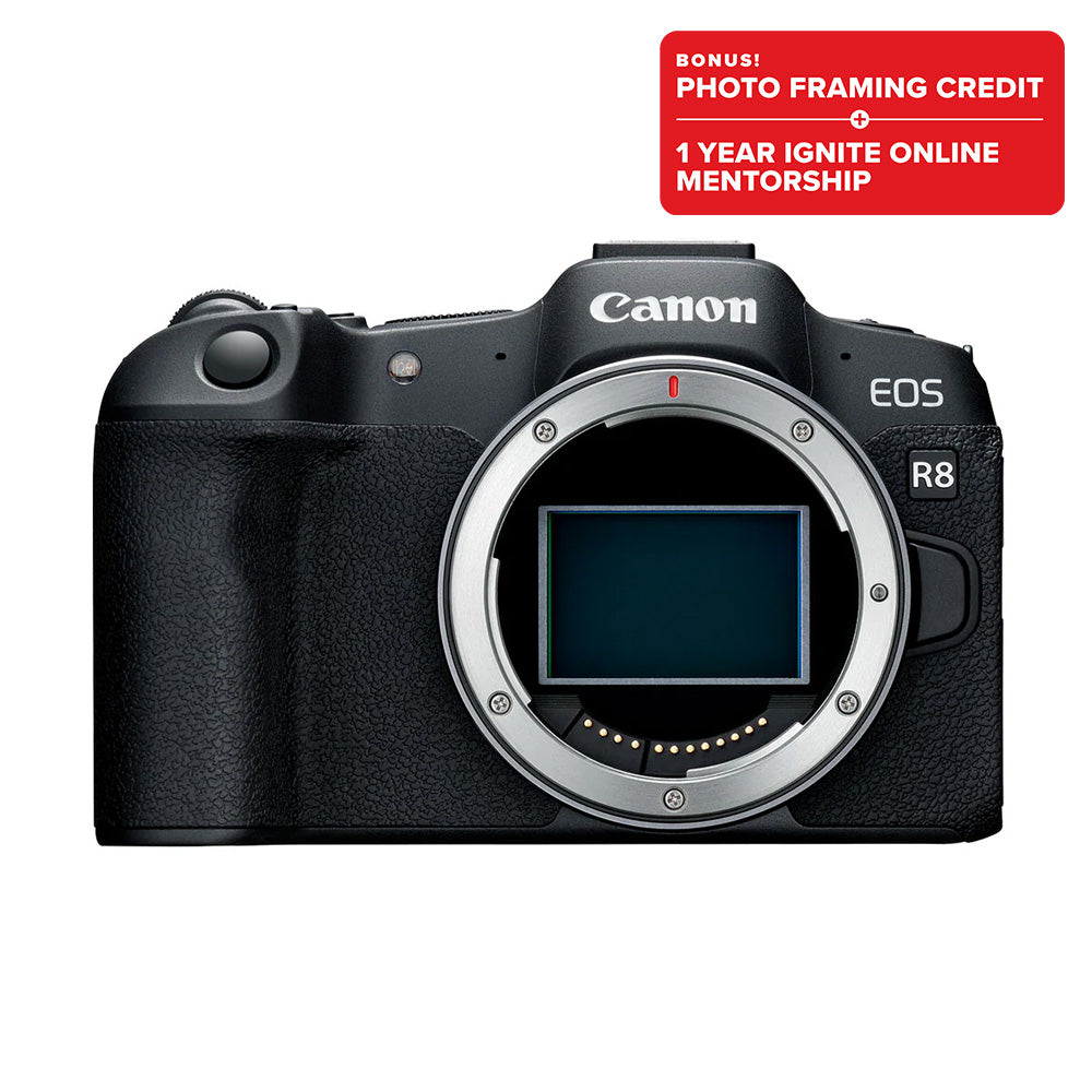 Canon EOS R8 Body