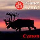 The Hybrid Wildlife Shooter: Adding Video to Your Nature Photo Toolkit - Thur. Dec. 10