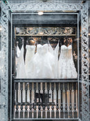 Light. Motion. Emotion. The Curiosity Creator x Sony Alpha Experience - Sun. Apr. 26