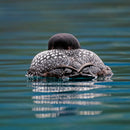 The Hybrid Wildlife Shooter: Adding Video to Your Nature Photo Toolkit - Thur. Dec. 10