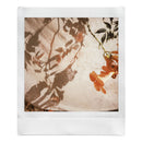 FUJIFILM instax Square Soft Haze film print on a white background