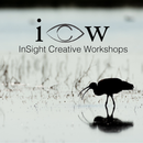 Introduction to Lightroom - Sat. Feb. 7, Sat. Feb. 21 & Sat. Feb. 28