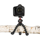 Joby GorillaPod 5K flexible tripod holding a professional camera mounted on a tree branch