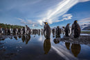 The Wild Side of Production: How Wildlife Films Actually Happen - Thur. Sept. 10