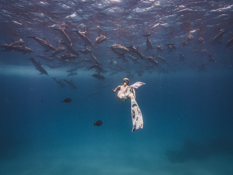 Through my Lens in One Breath: An Exploration of Breath-hold Photography of a Canadian Freediver  - Wed. Dec. 20