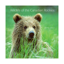 Wayne Lynch wildlife book cover featuring a brown bear in green grass in the Canadian Rockies
