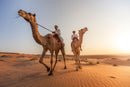 The Wild Side of Production: How Wildlife Films Actually Happen - Thur. Sept. 10
