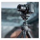 PGYTECH Mini Reverse Ballhead