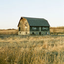 Rural barn photographed with Reflx Lab 100 Daylight 35mm colour negative film outdoors