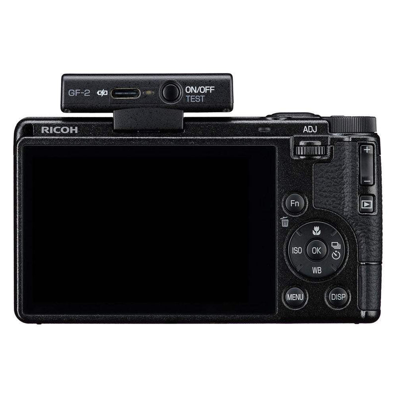 RIcoh GF-2 Flash