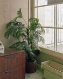 Introduction to Archival Inkjet Printing - Sat. Nov. 7