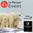 Wild Encounters - Ultimate Hands-On Zoo Photography Experience - Sun. Nov. 1