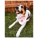 Dog wearing The Camera Store limited edition white cotton bandana with red logo print on grass background