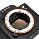 Sony a7 III body on a white background