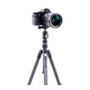 Vanguard Vesta TB 204CB with T-46 Ball Head