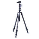 Vanguard Vesta TB 204CB with T-46 Ball Head