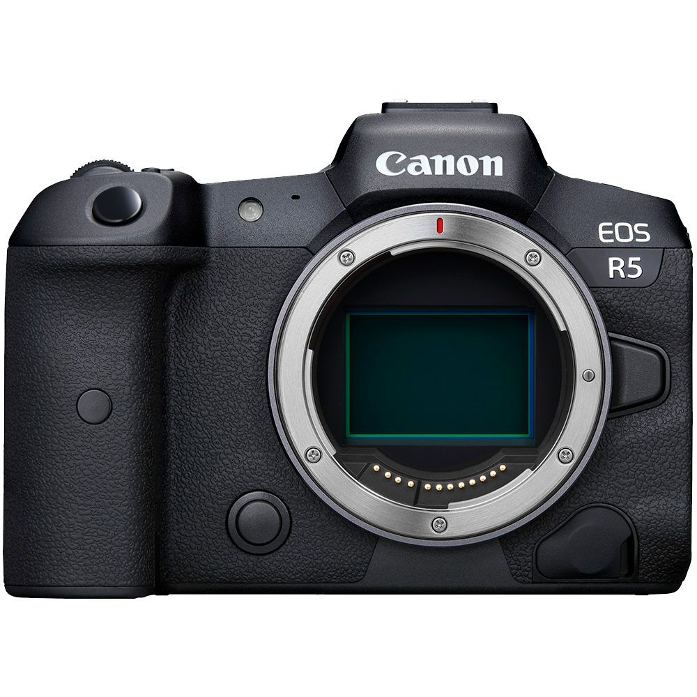 Canon camera discount store near me